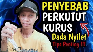 Penyebab Perkutut Kurus Nyilet Terlihat Tulang Dadanya Tips Penting