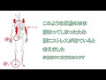 ストレッチを頑張っていたけど腰痛になってしまった女性 i solved her back pain.｜札幌市円山公園の整体院より