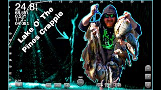 Lake O’ The Pines Full Crappie Stringer (Garmin Livescope)