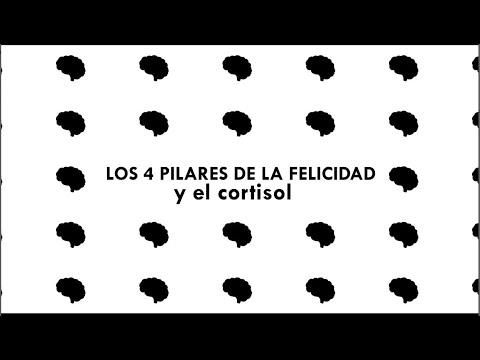 Los 4 Pilares De La Felicidad Y El Cortisol - YouTube