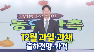 [영농길라잡이 농업관측] 2023년 12월 과일·과채