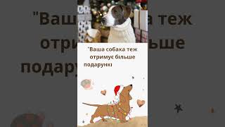 #FunnyDogMoments #DogLovers2024 #NewYearWithPets #DogChristmasJoy #DogsAndHolidays #ЯлинкаІСобака,