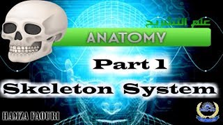 علم التشريح (ANATOMY Chapter 3 Skeleton system ) (part 1)