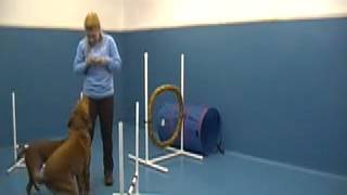 UES TNP 4 25 AnnienHailey Agility3