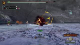 MH3G  怒ジョー 2分2秒　効率２Ｐ　猫火事