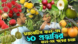 ডায়াবেটিস ফল সহ ৬০ প্রজাতির বিদেশি ফলের চারা | উদ্যোক্তার খোঁজে