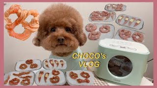 [CHOCO's VLOG] 리큅 미니 식품건조기로 수제 간식 만들기 ! 🥨