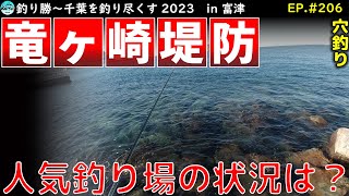 EP.209【千葉内房穴釣り】去年11月以来の鋸南 竜ケ崎堤防で穴釣り