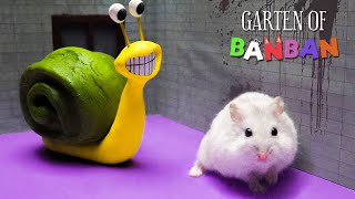 GARTEN OF BANBAN 2: Slow Seline Vs Hamsterious | Hamster Escape