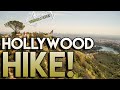 HOLLYWOOD SIGN & WISDOM TREE HIKE