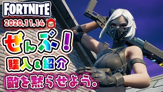 本日のアイテムショップ ハッシュなどの使用感紹介！！2020.11.14【Fortnite・フォートナイト】