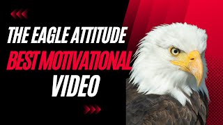 🦅 Spirit of the Flying Eagle | Eagle Mentality | Wisdom of the Eagle 🦅