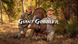 GIANT Gobbler came out of NOWHERE (His First Turkey)