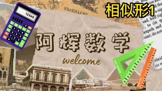 [初三相似形] 独中初中数学统考 初三篇：相似形(1)