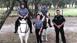 HCSO Civilian Mounted Unit Recruitment PSA