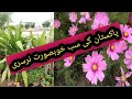 MOST IMPORTANT NURSERY PLANTS IN PAKISTAN AND INDIA GARDEN