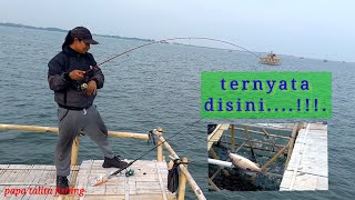 Mancing Bagan Tengah Bang Bule Pertamina,Umpan Belum Sampai Dasar Sudah di Sambar.