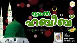 ഇലൽ ഹബീബ് ♤ Muhammad Fulail Vazhikkadav ♤ New Madh Song