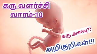 கரு வளர்ச்சி வாரம் -10 || மார்பகங்களில் புண்ணை உண்டாக்கும் பத்தாம் வாரம் || Baby Growth (Week-10)