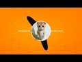 Zedd Beautiful Now ft Jon Bellion (Marshmello Remix)