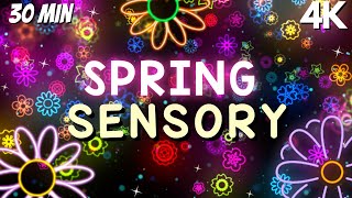 Sensory Videos for Autism Morning Happiness with Flower Visuals