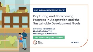 Capturing and Showcasing Progress in Adaptation and the Sustainable Development Goals