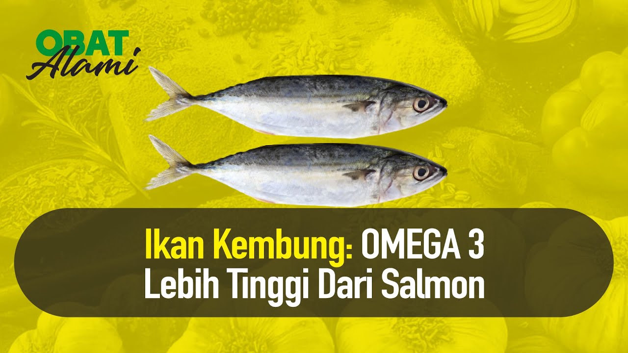 TERUNGKAP! Ini Manfaat Sering Konsumsi Ikan Kembung | Obat Alami - YouTube