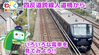 【電車】恵比寿の四反道跨線人道橋からいろいろな電車を見てみよう！　tokyo train