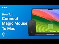 How To Connect Magic Mouse To Mac | Easy Guide