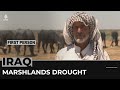 First Person: Southern Iraq's marshlands face worst drought in 40 years