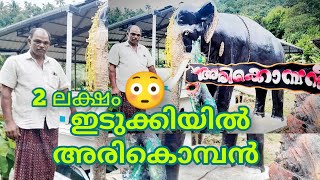 അരികൊമ്പന് വേണ്ടി 2 ലക്ഷം മുടക്കി 😳😱 ഇടുക്കിയിൽ അരികൊമ്പൻ. #arikomban #arikombanfans #chinnakkanal