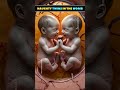 Twins | Twin Pregnancy | Babies in the womb | Multiple Pregnancy #shortsfeed #twins #baby