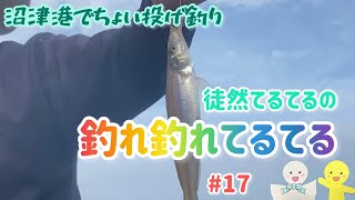 【徒然てるてるの釣れ釣れてるてる】第17弾〜沼津港でちょい投げ釣り〜