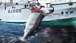 Hunting Giant Fish The Deadly Chase for 1000 Pound Swordfish And Bluefin Tuna Using Longlines