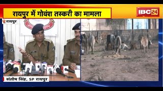 Cattle Smuggling in Raipur: राजधानी में गोवंश तस्करी का मामला। हिरासत में लिए गए 8 आरोपी,पूछताछ जारी