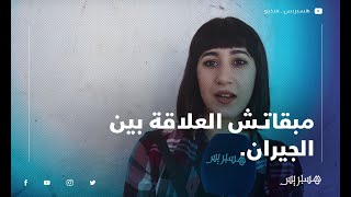 مغاربة: \