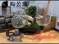 【陶公鼎】Syphon虹吸壺!台灣最早期的咖啡沖煮法!帶你一解賽風壺的秘密!