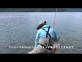 本栖湖 フライフィッシング セミパターン でトラウト釣り lake motosu fly fishing japan