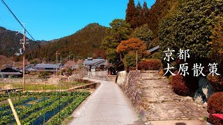 京都 大原の散策 : Walking Around Ōhara Village（Kyoto, Japan）