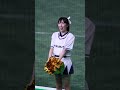 都市対抗野球　2024　subaru応援2 cheerleader 都市対抗野球