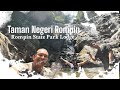 Taman Negeri Rompin Lodge Pahang