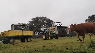 Colocando pajeros para que no estropeen la paja!!!