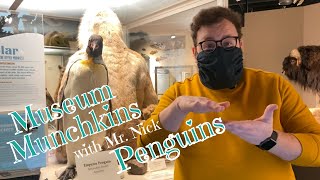 Museum Munchkins: Penguins!