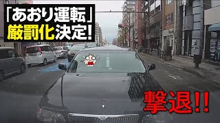 煽り運転を仕掛けてくるシーマと遊んであげました