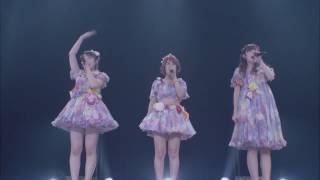 C-ute - Chokkoto Love(C ute Cutie Circuit 2015 ~910 C ute Day)