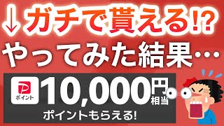 最近話題のPayPay10000pやったら衝撃の結果に…