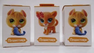 Свитбокс Котята Пушистики / Sweet Box Kittens Fuzzies