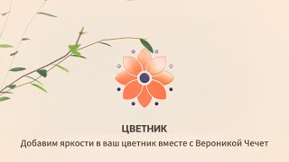 Цветник. Дипладения: почему не цветет и как сохранить зимой