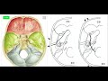 측두골골절 temporal bone fracture 안면신경손상 뇌척수액 누출 csf leakage 이루와 비루