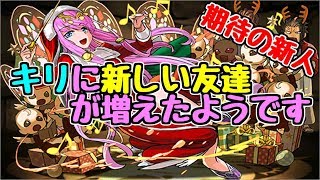 【闘技場3】クリスマス ヴィーナス～3色半減はとっても心強い～【パズドラ実況】